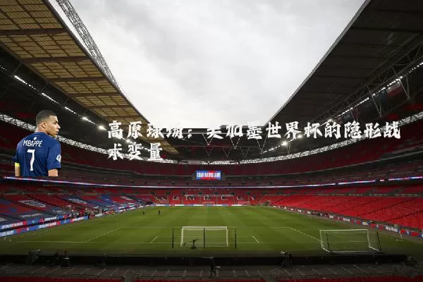 高原球场：美加墨世界杯的隐形战术变量